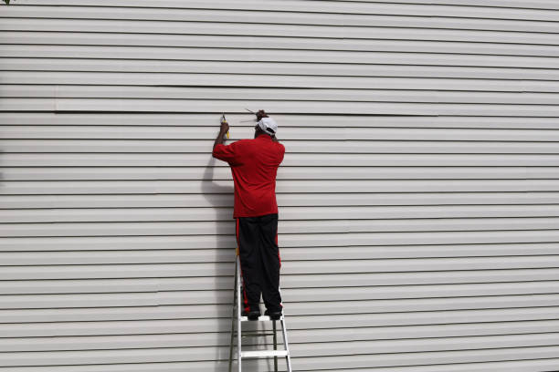 Best Siding for Commercial Buildings  in Girard, IL